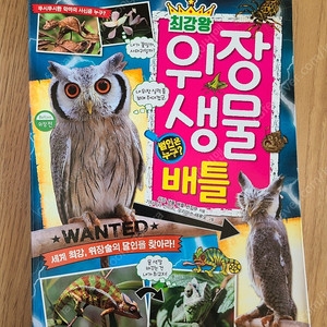 최강왕 배틀 (4권)