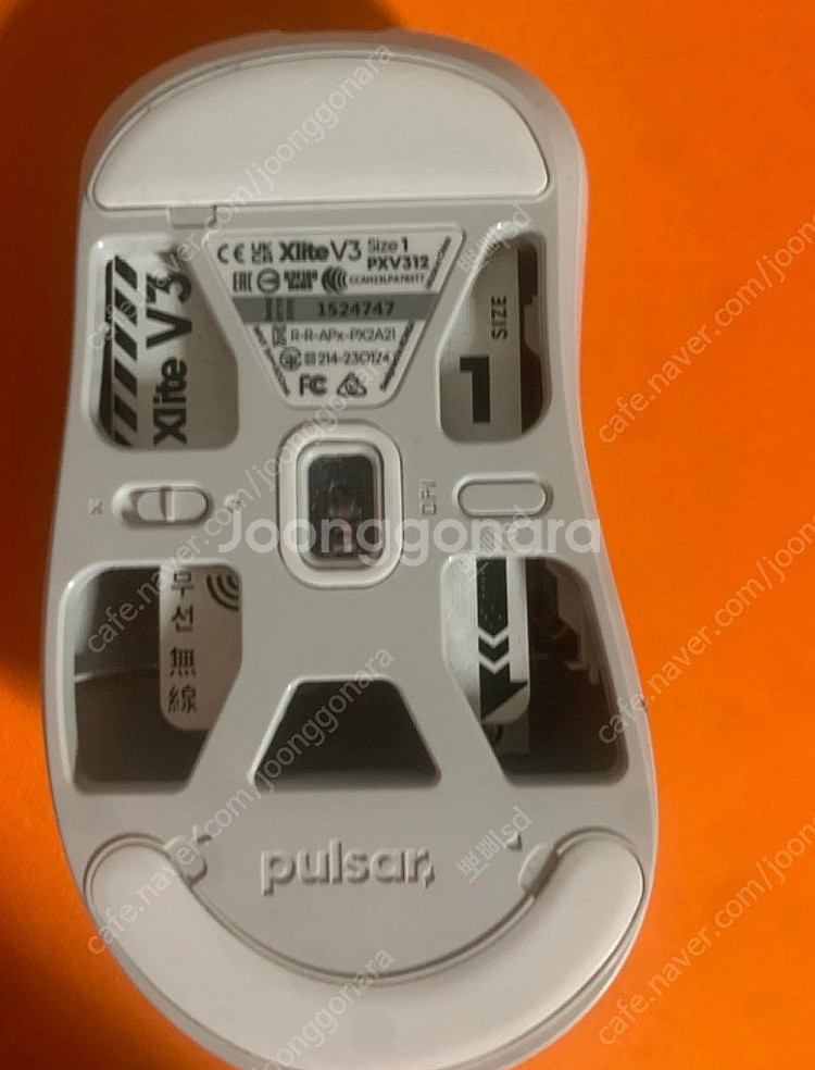 펄사 xlite v3--1