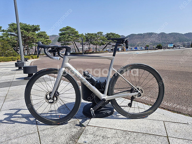 BMC slr01 five(22년식 팀머신) 최종가격--0