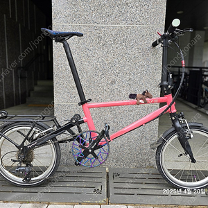 [판매] 타이렐 이브 사쿠라 버전 판매합니다.