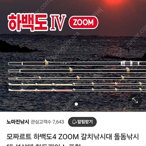 갈치낚시대