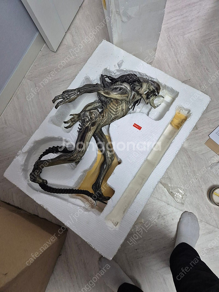 사이드쇼 레어 프레데일리언 매켓--0