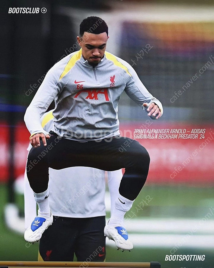 아디다스 프레데터 엘리트 베컴 에디션 270--2