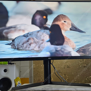 LG전자 울트라기어 32GK850F / 32인치 QHD 144HZ LG게이밍모니터 팝니다