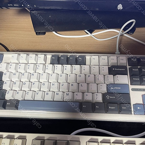 [직구제품]독거미 f87 pro 황축