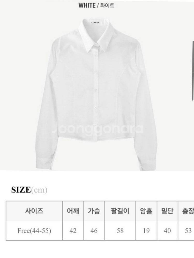(택부착새상품) 케이디셔츠 (one size)--2