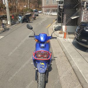 비위즈100