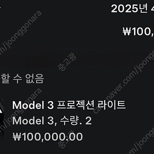 테슬라 모델3 프로젝션 도어라이트