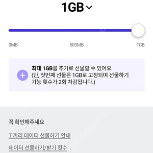 skt 데이터 2기가