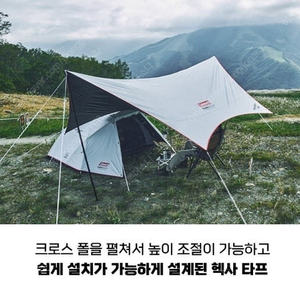 콜맨 mdx+ 타프 판매