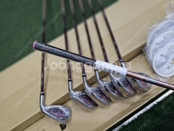 (여성용) 24년 젝시오13 보르도 / 블루 던롭정품 ...--3