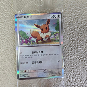 이브이 프로모카드 포켓몬카드