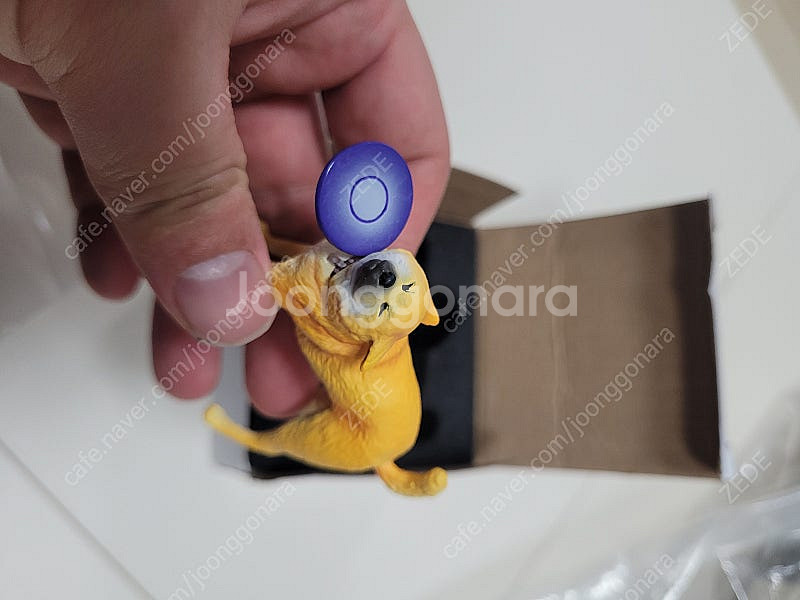 원반맞는개, 마스크쓴 고양이 피규어 팝니다--1