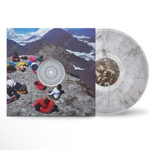 HYUKOH x Sunsetrollercoaster AAA 혁오 LP