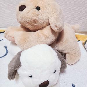 대형43cm 댕댕이 새것 선물 인절미 댕댕이 골든리트리버 인형 강아지 인형 백팩 가방