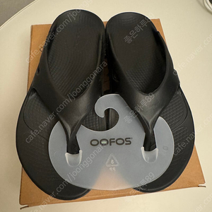 우포스 쪼리 240