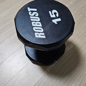 로버스트 덤벨 15kg (robust, 아령)