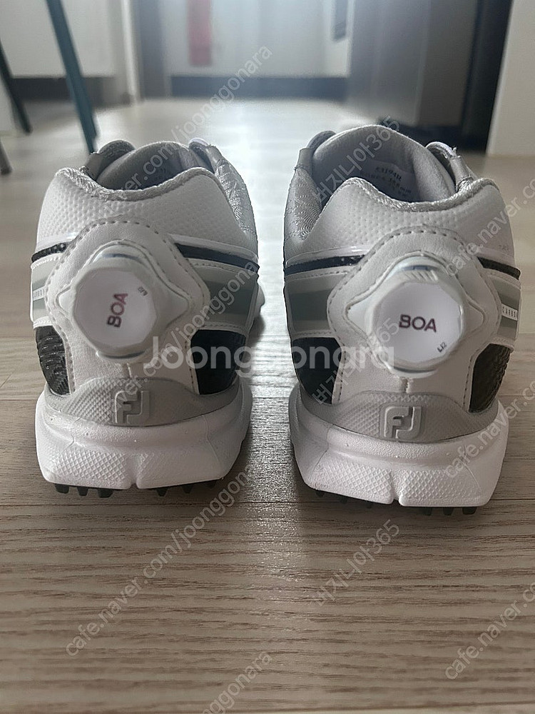 풋조이 프로SL 보아 카본 골프화 255mm--2