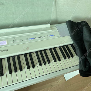 야마하 P515 판매합니다