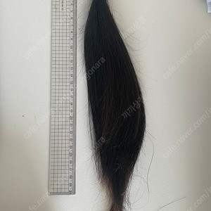 머리카락 30cm