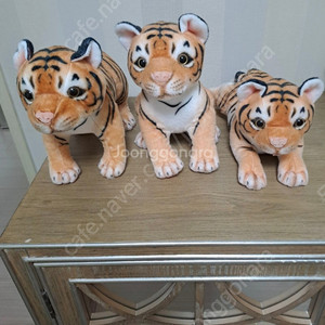 3마리 귀여운 아기 호랑이 인형 29cm 일괄판매 (5천짜리 새끼 골든리트리버 강아지 인형 서비스 드림)