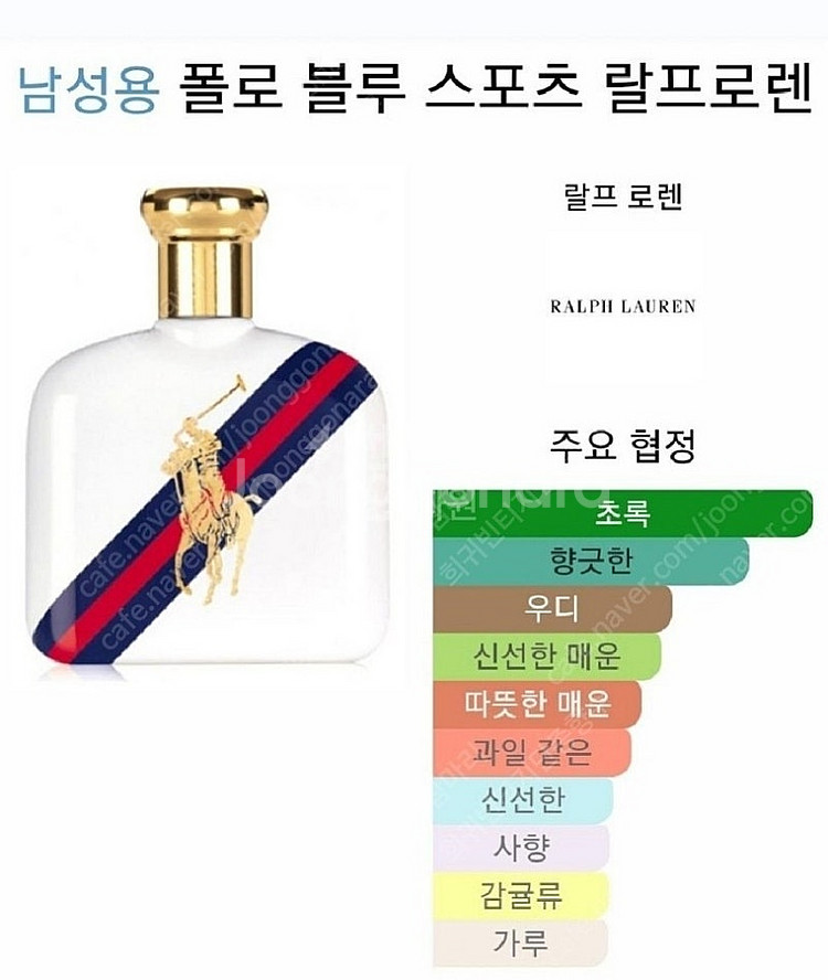 랄프로렌 폴로 블루 스포츠-2012 블루 드 샤넬과 닮...--4