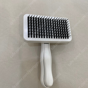 페스룸