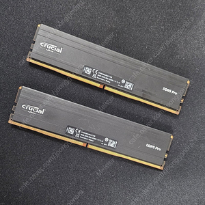 ddr5 램 96GB (크루셜 pro 5600, 48gb X 2개)
