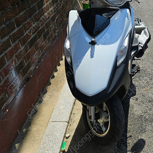 Vf100 2021년식 16000키로 A급