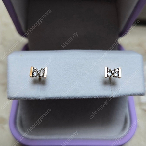 디디에두보 브라운 다이아 귀걸이