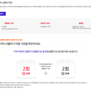 SKT 데이터 2기가 판매