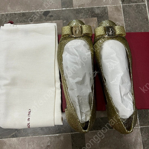 페라가모 젤리 슈즈(사기꾼 사절)