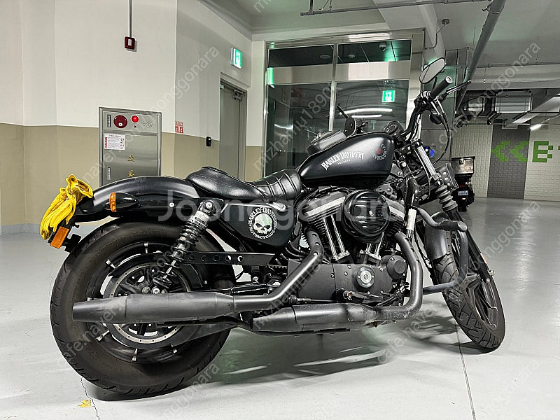 2020년 할리데이비슨 아이언 883--1