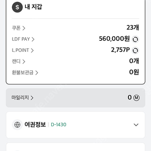 LDF pay 판매해요