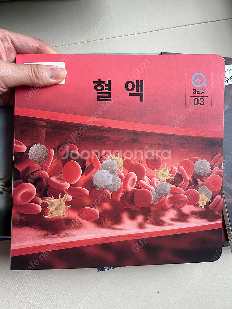 [택포]튼튼영어라트주니어 과학플랩북 탈무드전집 포함 일...--6
