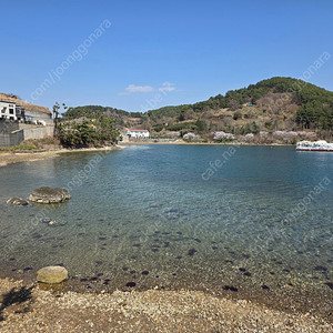 티빙 베이직 12개월 이용권 판매