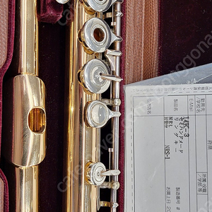산쿄14k gold combi 플루트 플룻