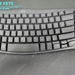 로지텍 WAVE KEYS 키보드 (마우스도 드림)