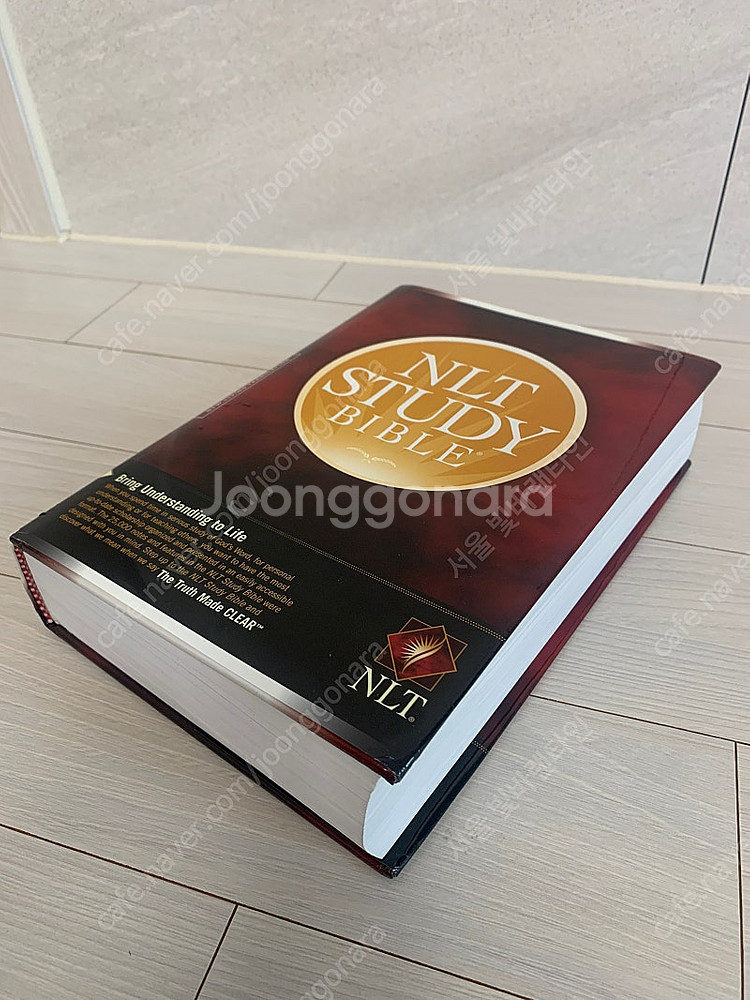 NLT STUDY BIBLE 하드커버--0