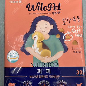 윌로펫 퍼피 30gX100봉지 강아지 샘플사료