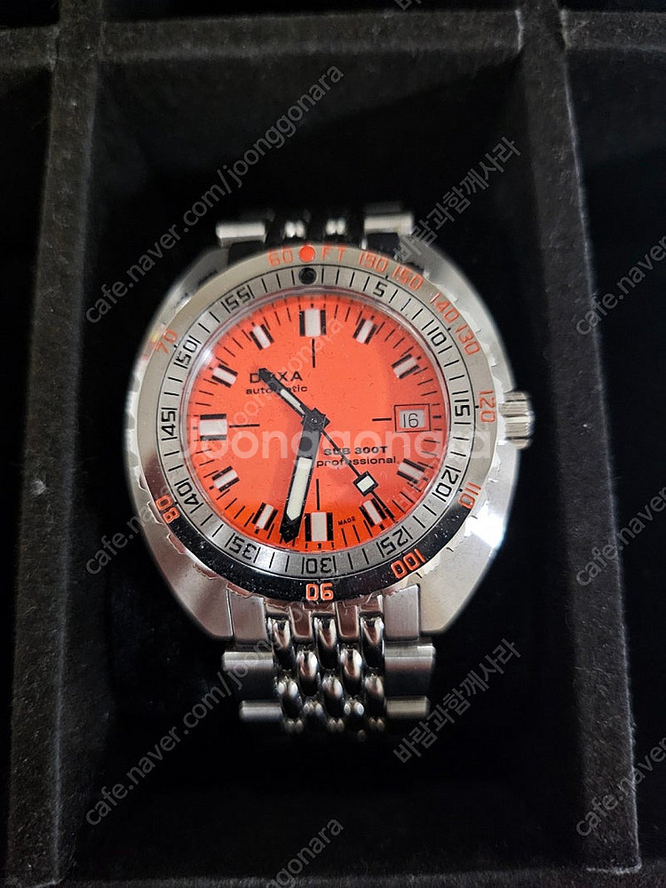 독사(DOXA) 300T--2