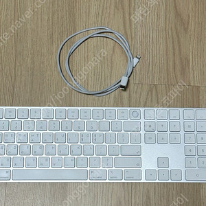 Apple 매직키보드 with Touch ID and Numeric 키보드 흰색- A2520 팝니다