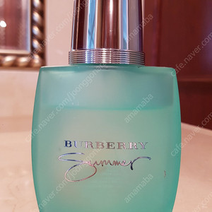 버버리 썸머 포맨 100ml