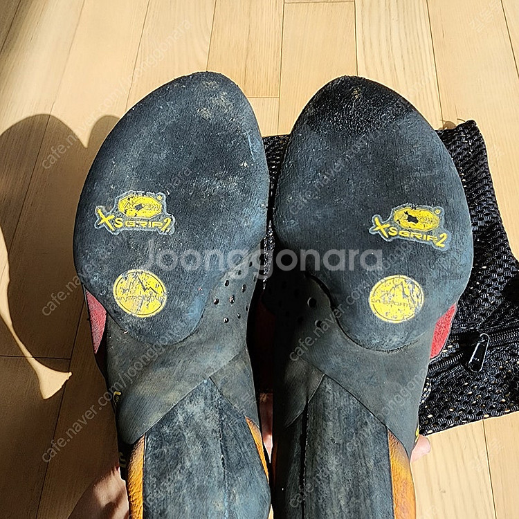 암벽화 라스포르티바 테스타로사 팝니다.--1