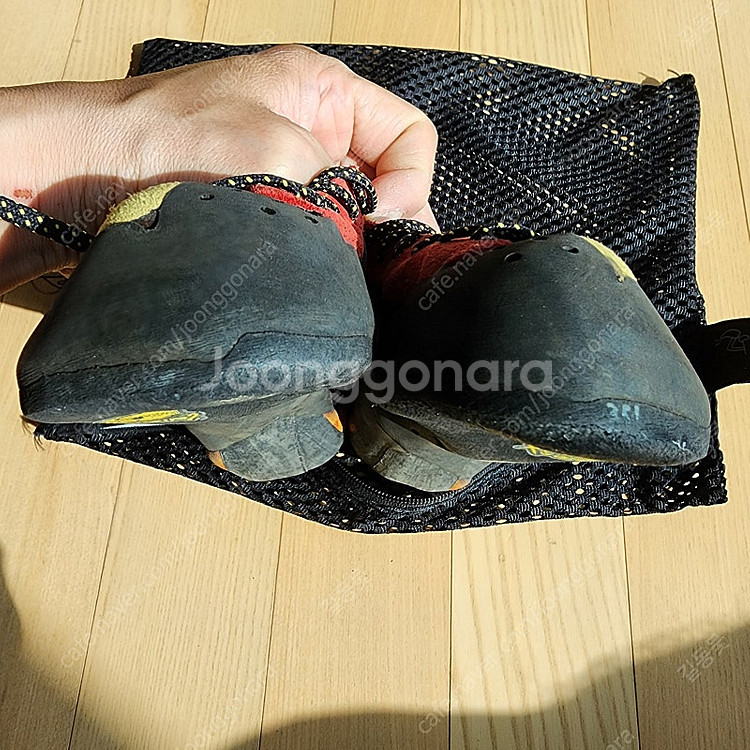 암벽화 라스포르티바 테스타로사 팝니다.--2