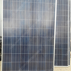 신성 태양광 패널 300W 판매