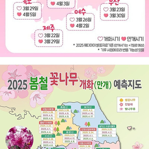 롯데 면세점 제휴포인트 3달러 단돈 200원에팜