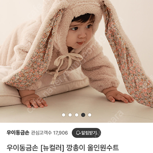 우이동금손 깡총이수트 m