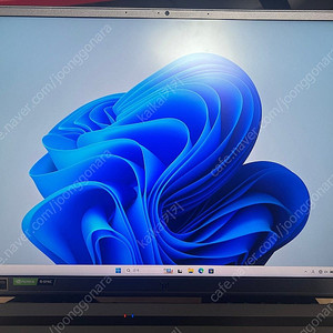 acer 전세계 500대 한정판 트리톤 500se 3080ti 모델(PT516-52s-76N8) 팝니다