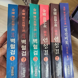 연성결 설산비호 벽혈검 세트